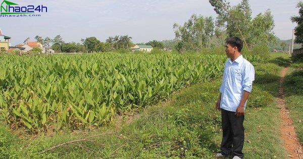 Thời hạn sử dụng đất là gì? Đất hết hạn có bị thu hồi không?