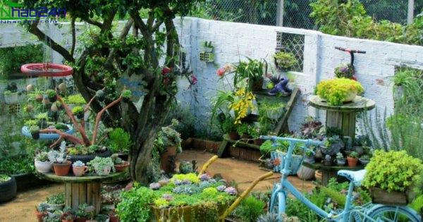 Mải mê ngắm khu vườn sen đá đẹp lung linh của mẹ 8X bỏ phố về quê