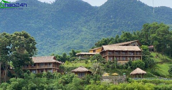 Nhà đầu tư cần làm gì để không mất trắng tài sản khi mua farmstay?